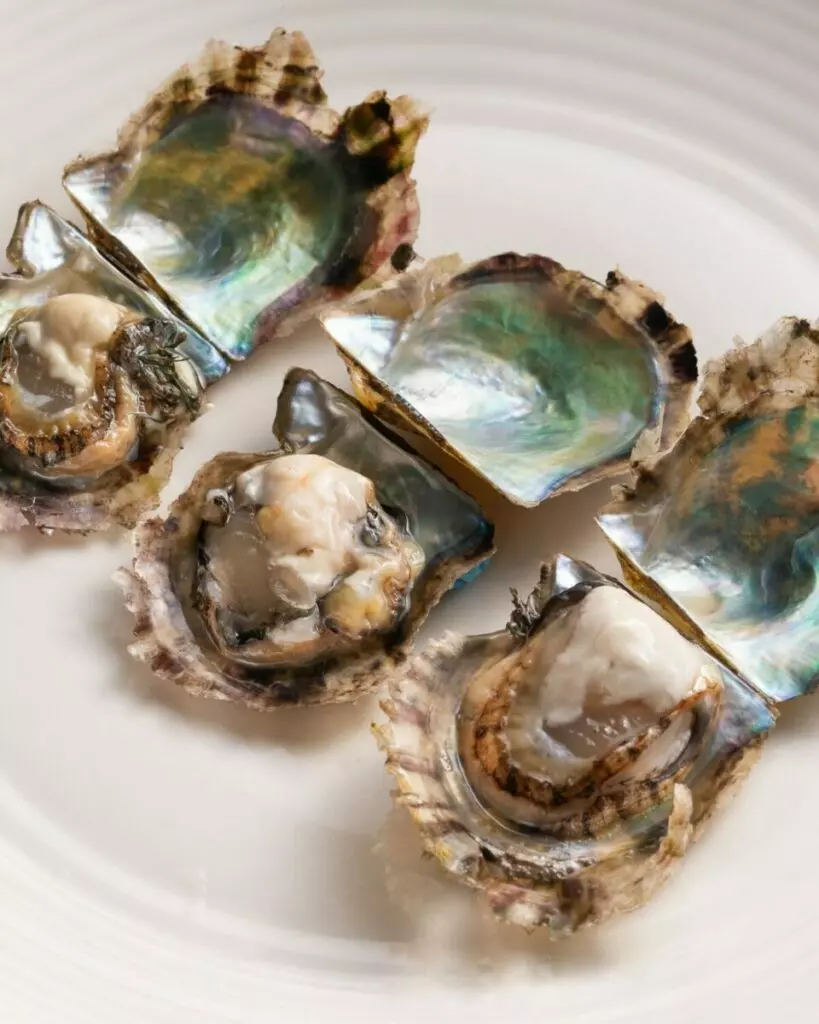 akoya oysters edible